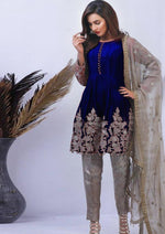 Nomi Ansari Embroidery chiffon Collection